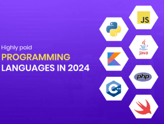 Maximize Your Earnings with These Highly Paid Programming Languages in 2024