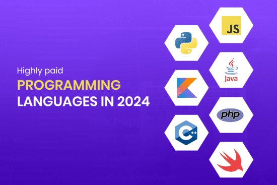 Maximize Your Earnings with These Highly Paid Programming Languages in 2024